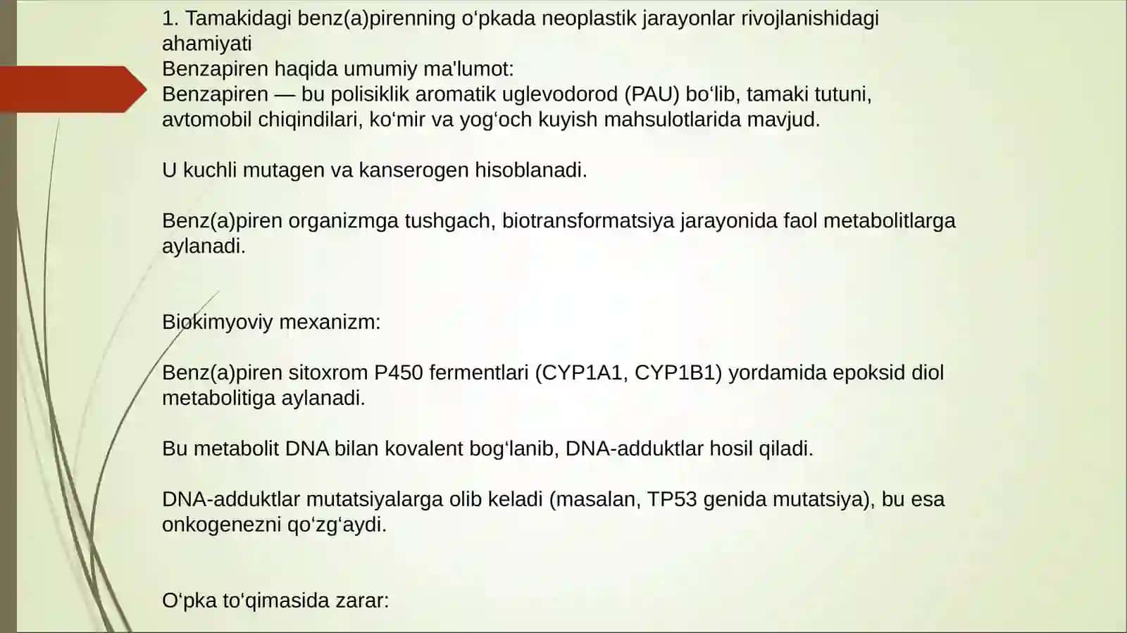 Tamakidagi benz(a)pirenni o'pkada neoplastik jarayonlar rivojlanishidagi ahamiyati 2