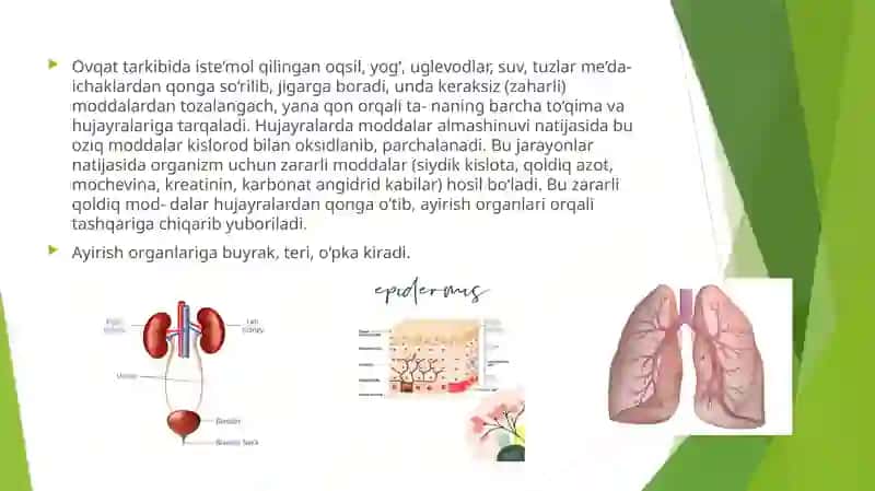 Ayiruv sistemasi 2