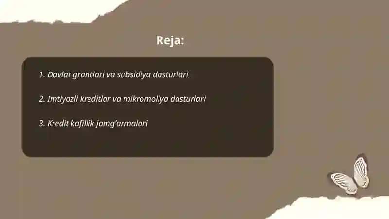 Davlat grantlari va subsidiya dasturlari 2