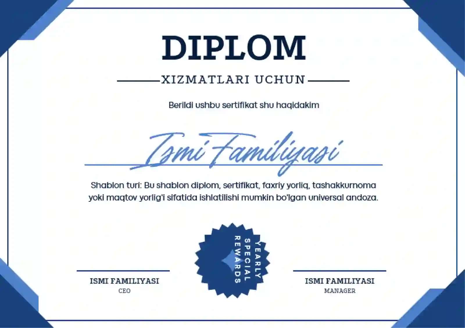 DIPLOM 2