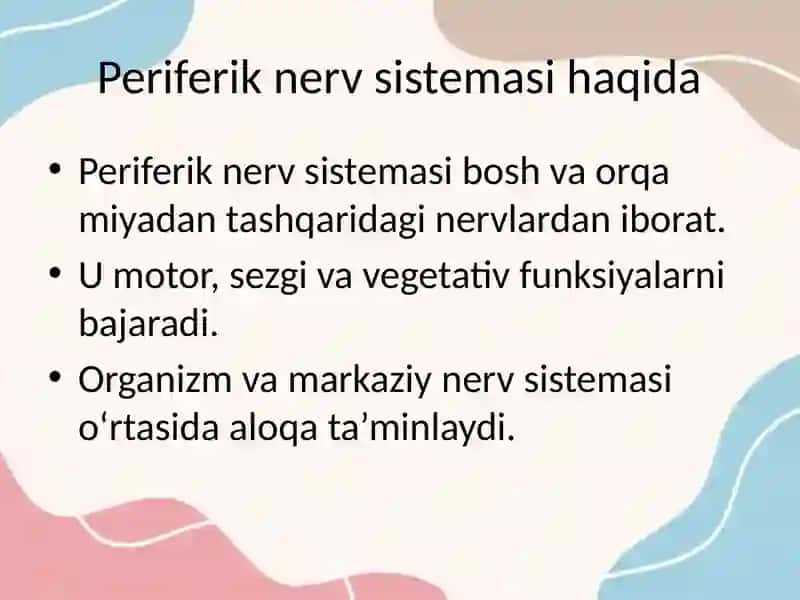 Periferik nerv sistemasi kasalliklari etiologiyasi klinikasi davolash va parvarish qilish usullari profilaktikasi. rejada nevritlar, polinevritlar haqda 2