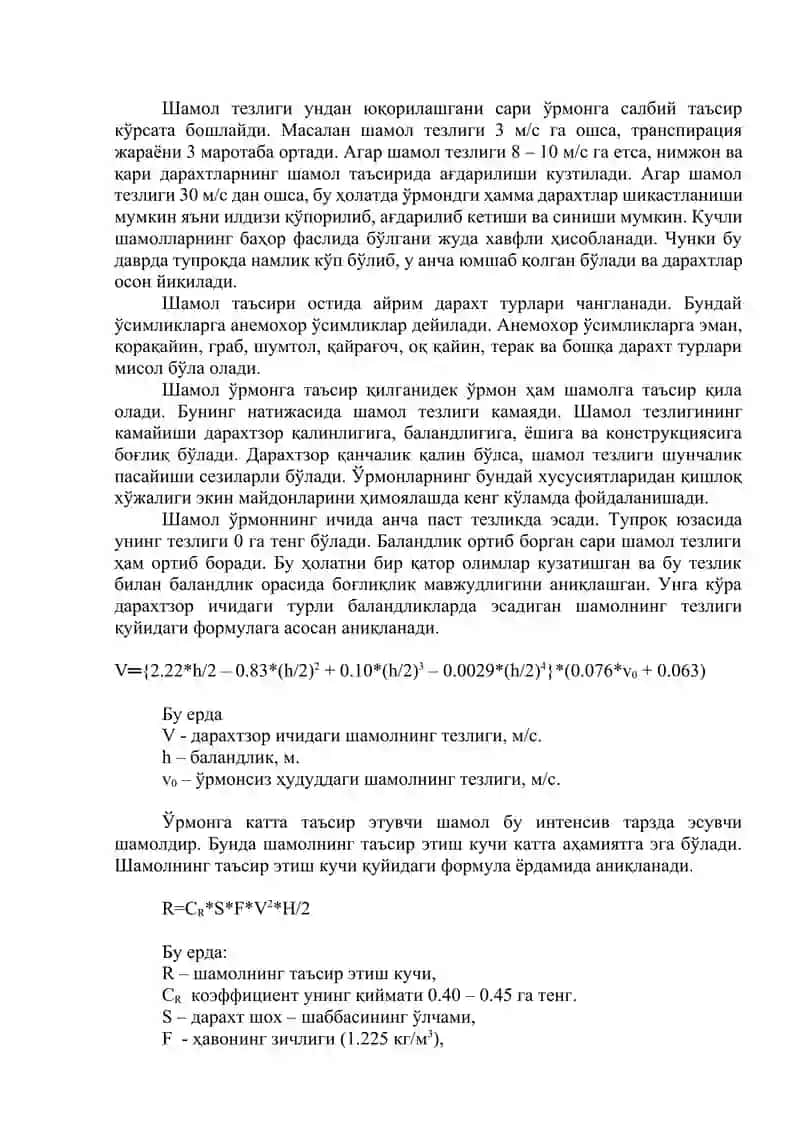 Ўрмон ва Шамол 2