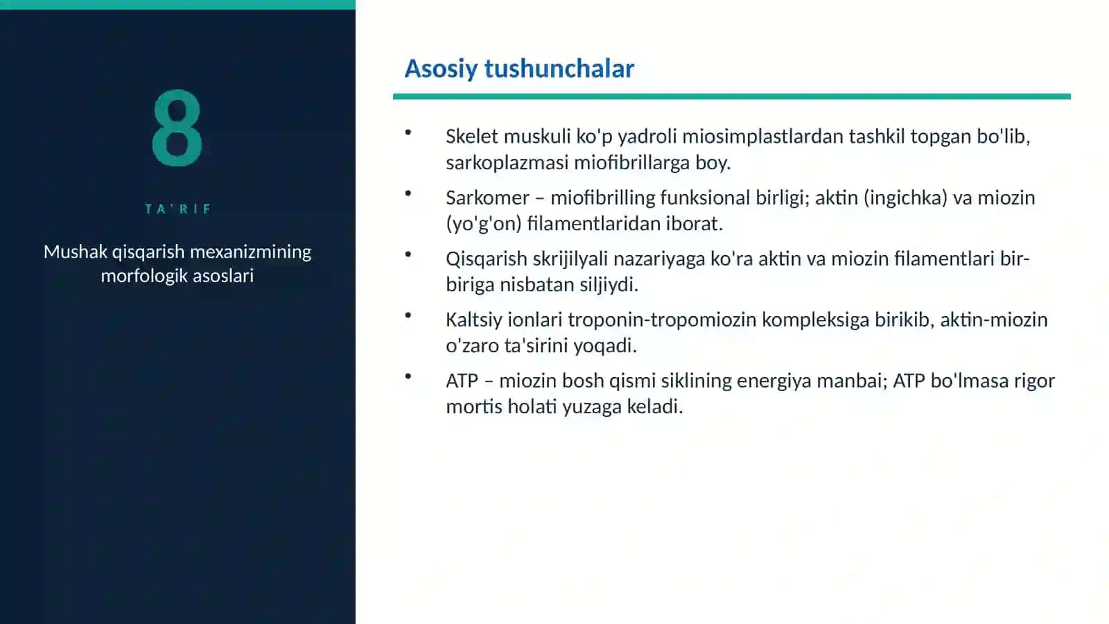 Mushak qisqarish mexanizmining. 2