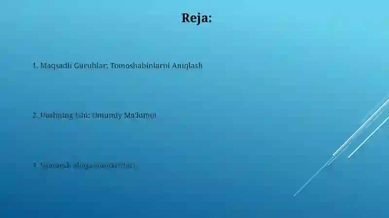 Maqsadli Guruhlar: Tomoshabinlarni Aniqlash 2