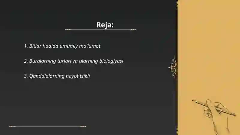 Bitlar haqida umumiy ma'lumot 2