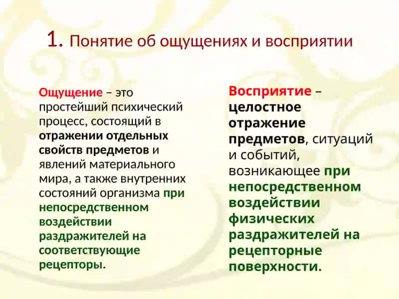 Ощущения восприятие 2