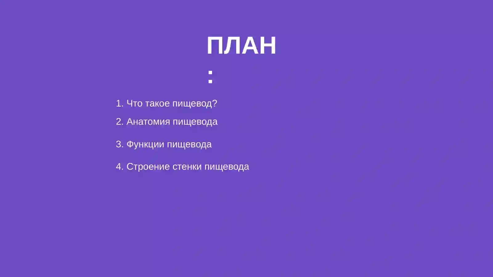 пищевод 2