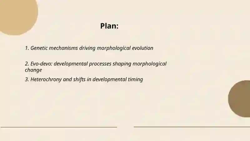 Evolution of Mofphology 2