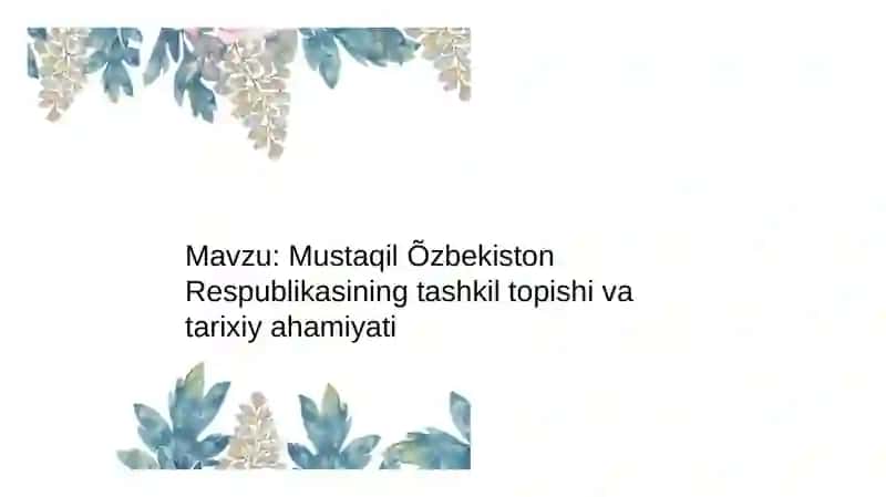 Mustaqil O'zbekiston Respublikasining tashkil topishi va tarixiy ahamiyati 2