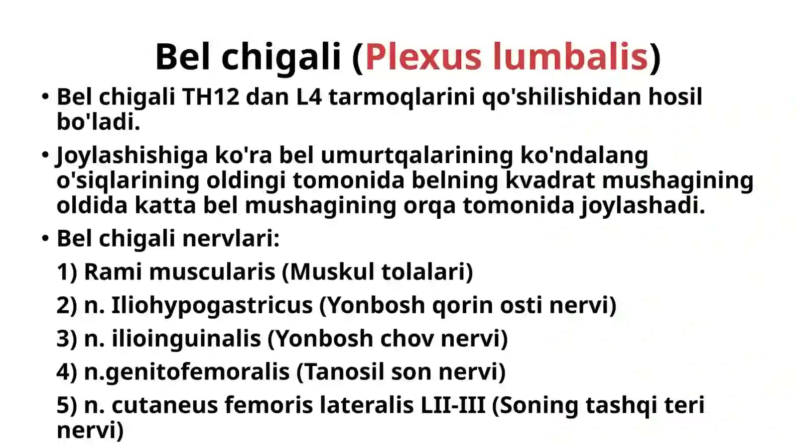 Bel va dumgʻaza chigallari: hosil boʻlishi, topografiyasi, tarmoqlari va innervatsiya sohalari. Oyoq terisining innervatsiyasi 2