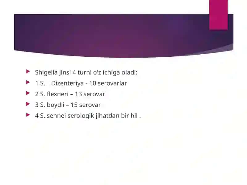 Shigella Bacteria 2