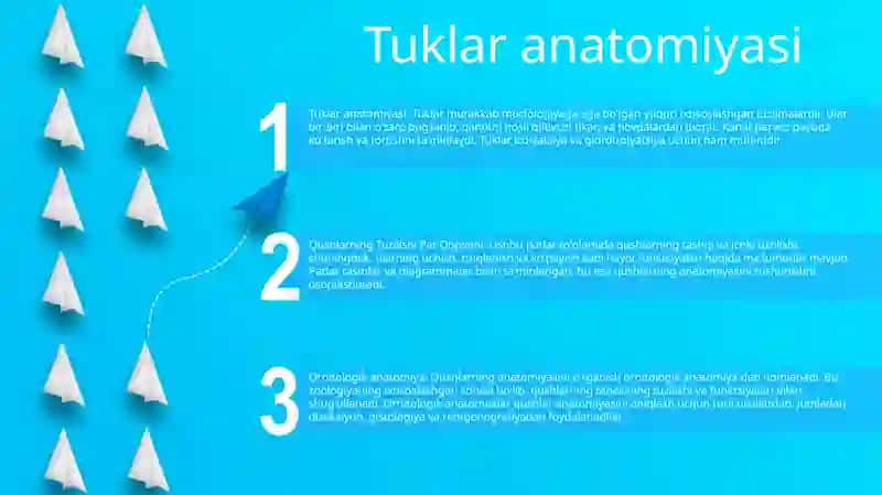 Qushlarning Tuzilishi Pat Qoplami 2