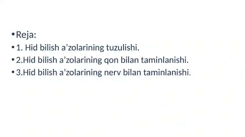 Hid bilish a’zolarining funksional anatomiyasi 2