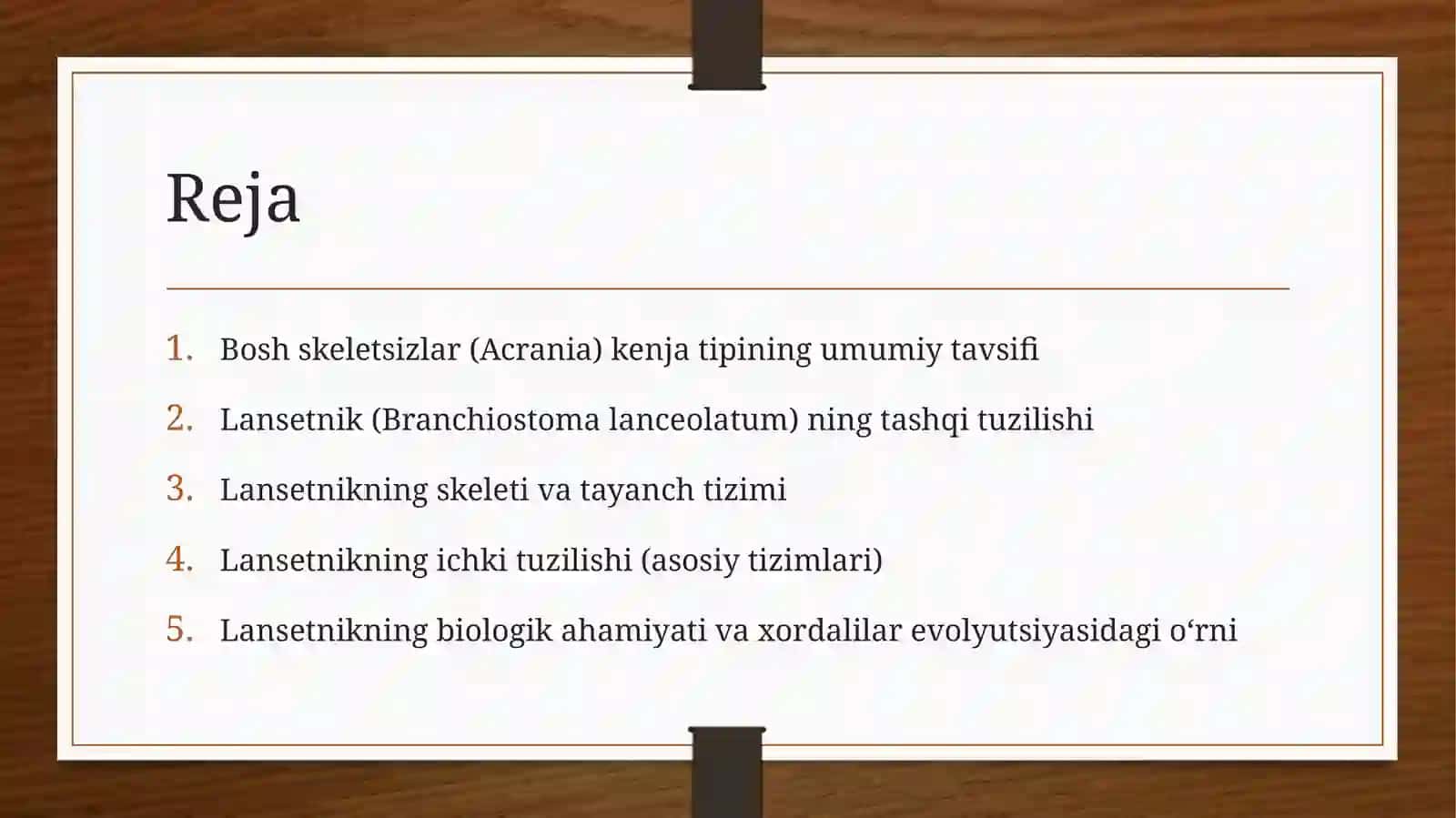Mavzu:Bosh skeletsizlar (Acrania) kenja tipi. Lansetnik ning (Branchiostoma lanceolatum) tashqi tuzilishi, skeleti va ichki tuzilishi 2