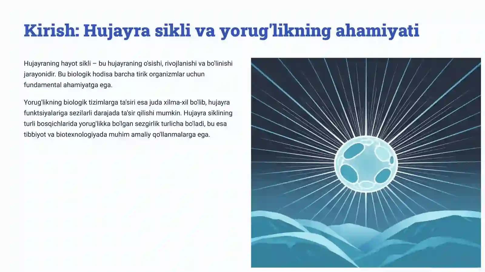 Hujayraning hayot sikli va uning turli fazalarida nurga sezgirlik 2