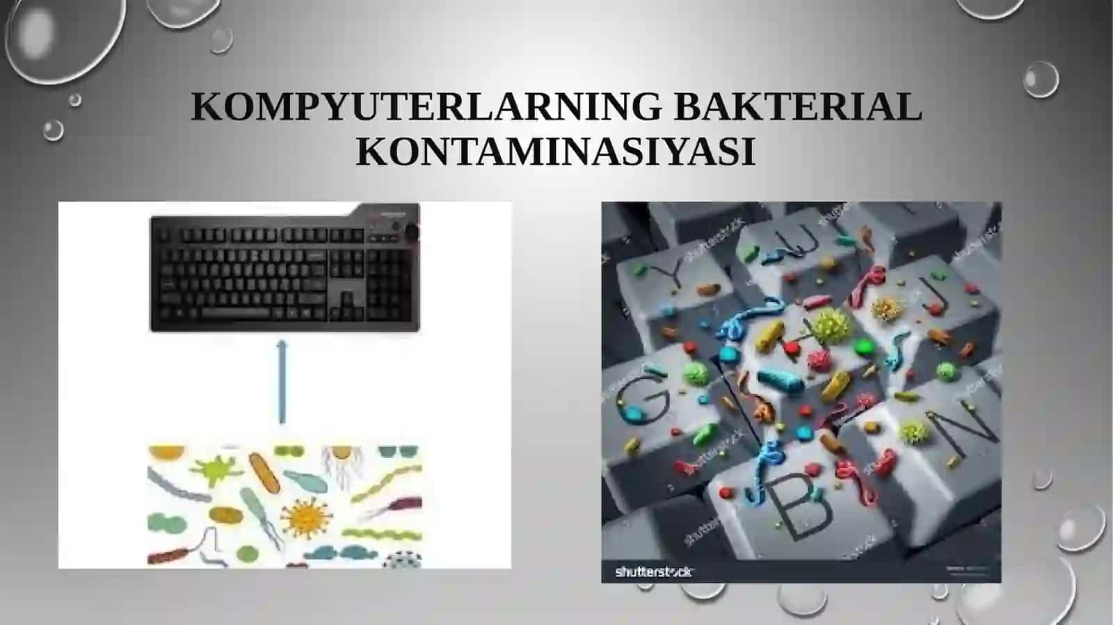 Kompyuter va telefonlarning bakterial kontaminasiyasi 2