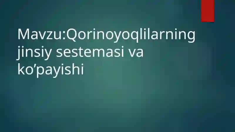Qorinoyoqlar Jinsiy Sistemasining Kelayotgan Mavzusi 2