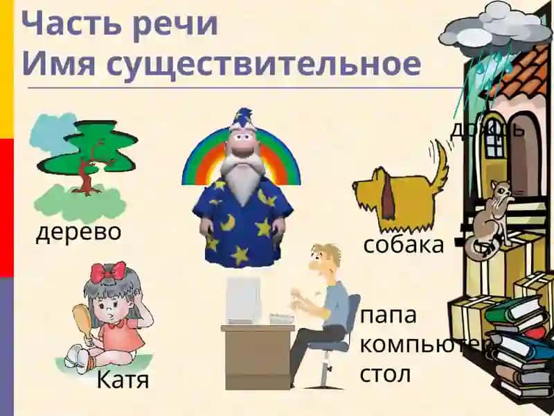 Имя существительное 2