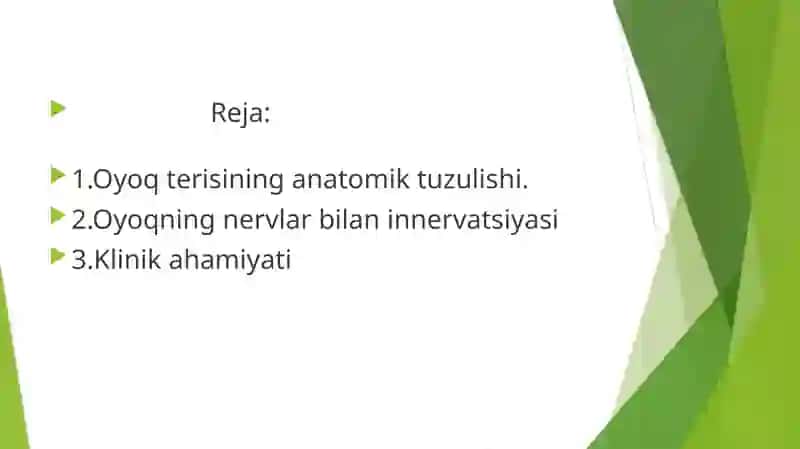 OYOQ TERISI INNERVATSIYASI 2