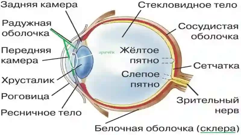 Рефракция бузилишлари катаракта касаллиги 2