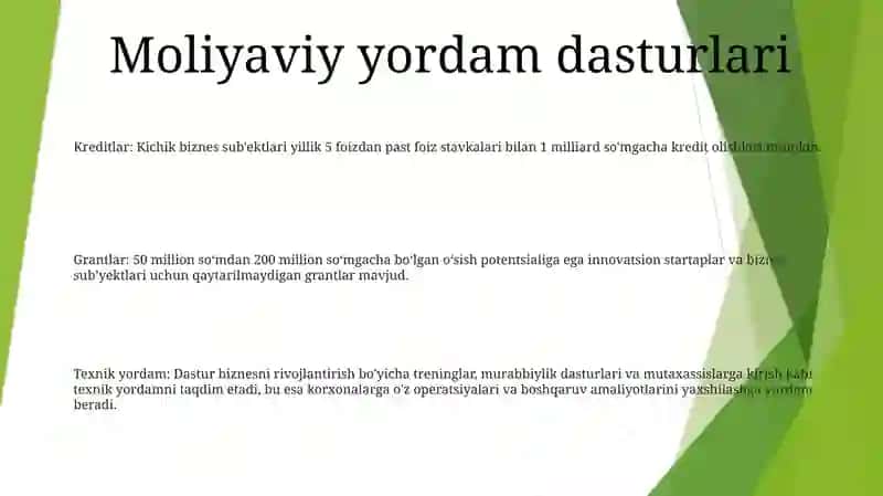 Kichik Biznesni Rivojlantirishni Moliyaviy Va Institutsional QoʼLlab Quvvatlash Chora Tadbirlari 2