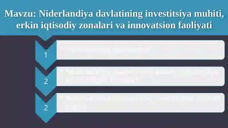 Niderlandiya investitsiya va innovatsiya siyosati. 2