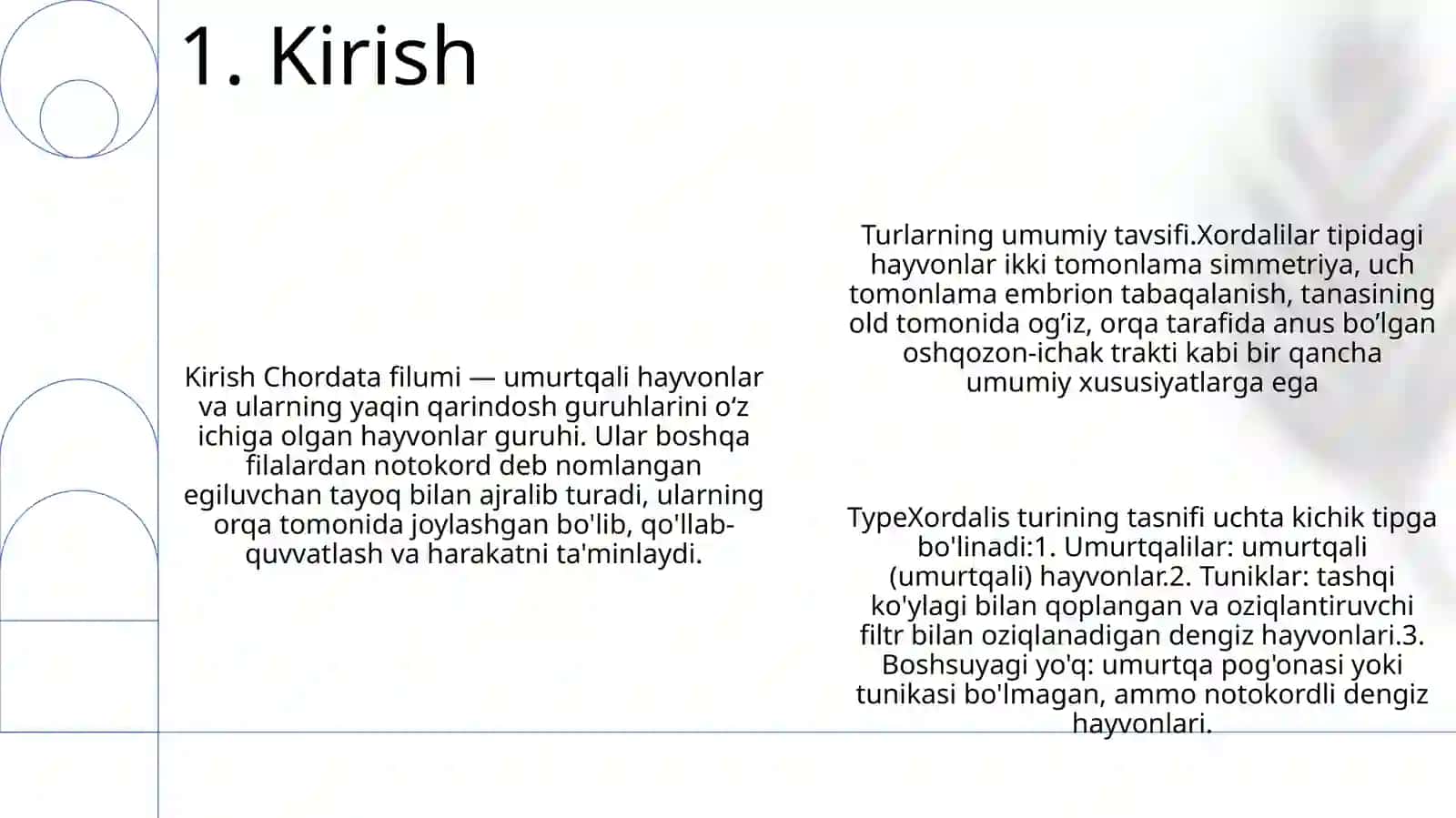 Xordalilar Tipi. Tipning Umumiy Tavsifi Va Tasnifi 2