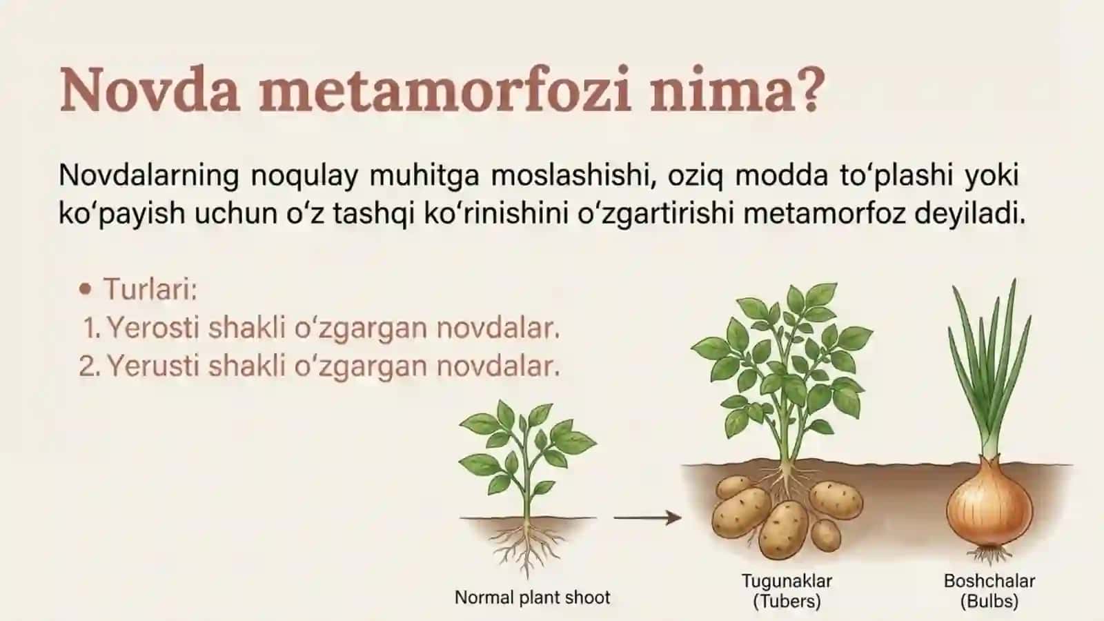 Shakli o'zgargan novdalar va barglar (Metamorfoz) 2