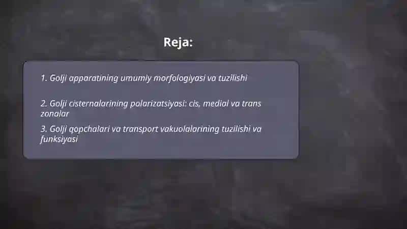 Sitoplazma organoidlari golji apparati va lizosomaning tuzulishi. Kritmalar 2