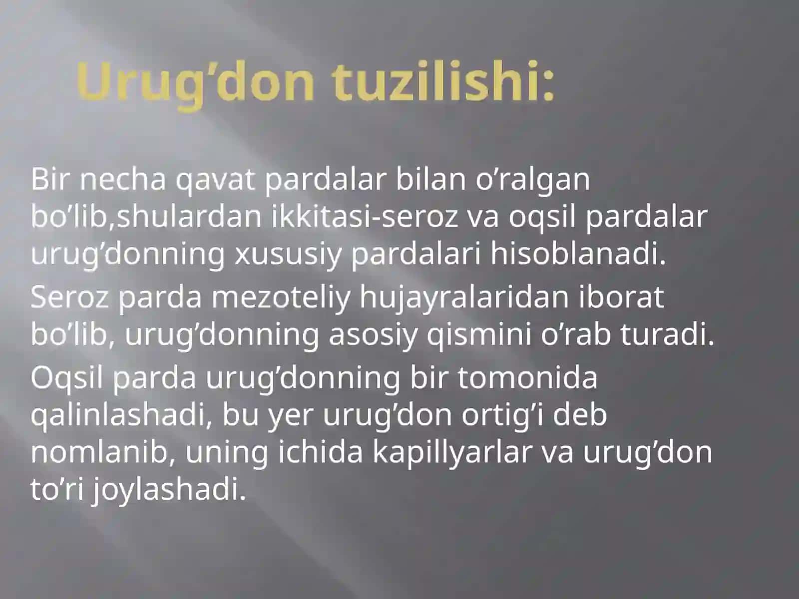 Erkaklar jinsiya a'zolari 2