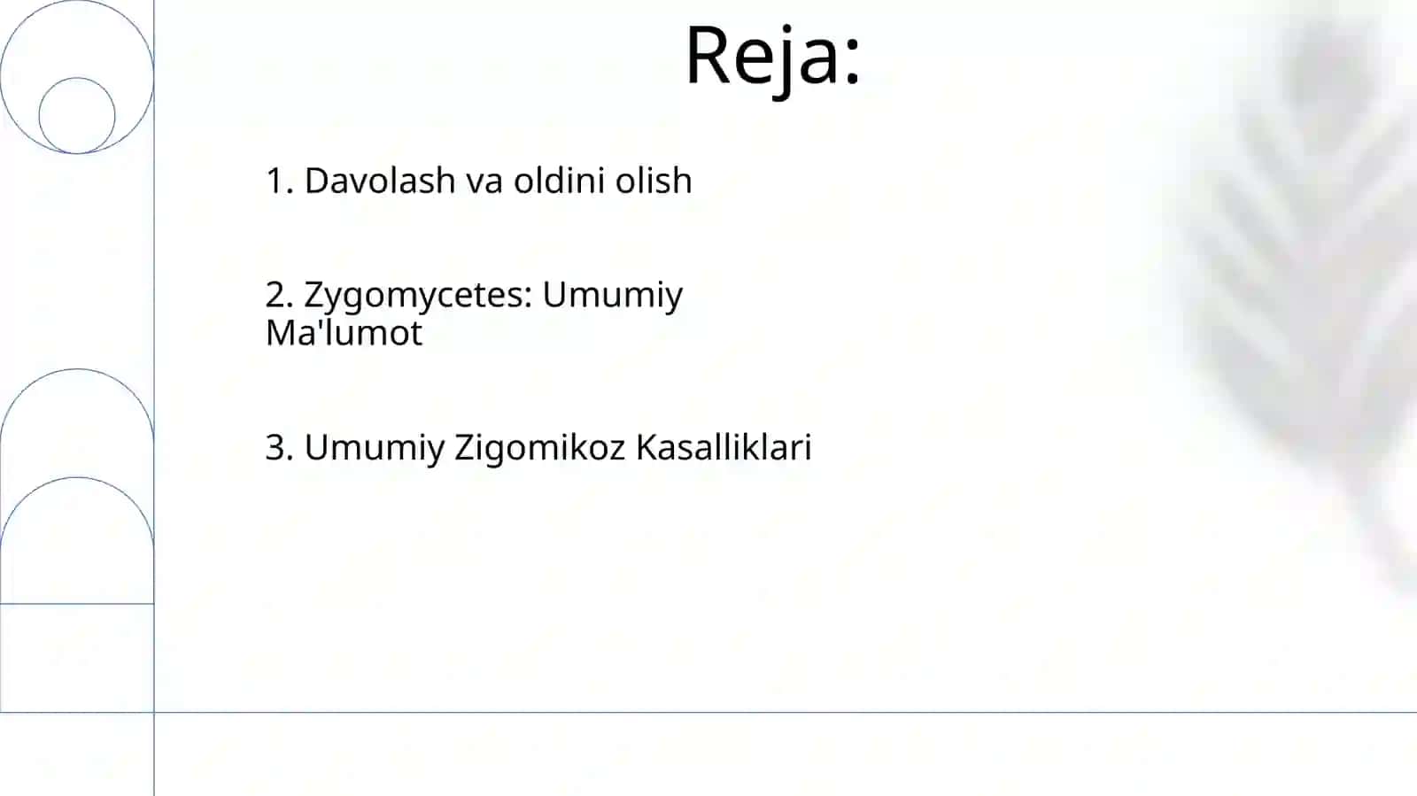 Zigomitsetlar sinfi vakillari qo'zg'atuvchi kasalliklarni o'rganish 2