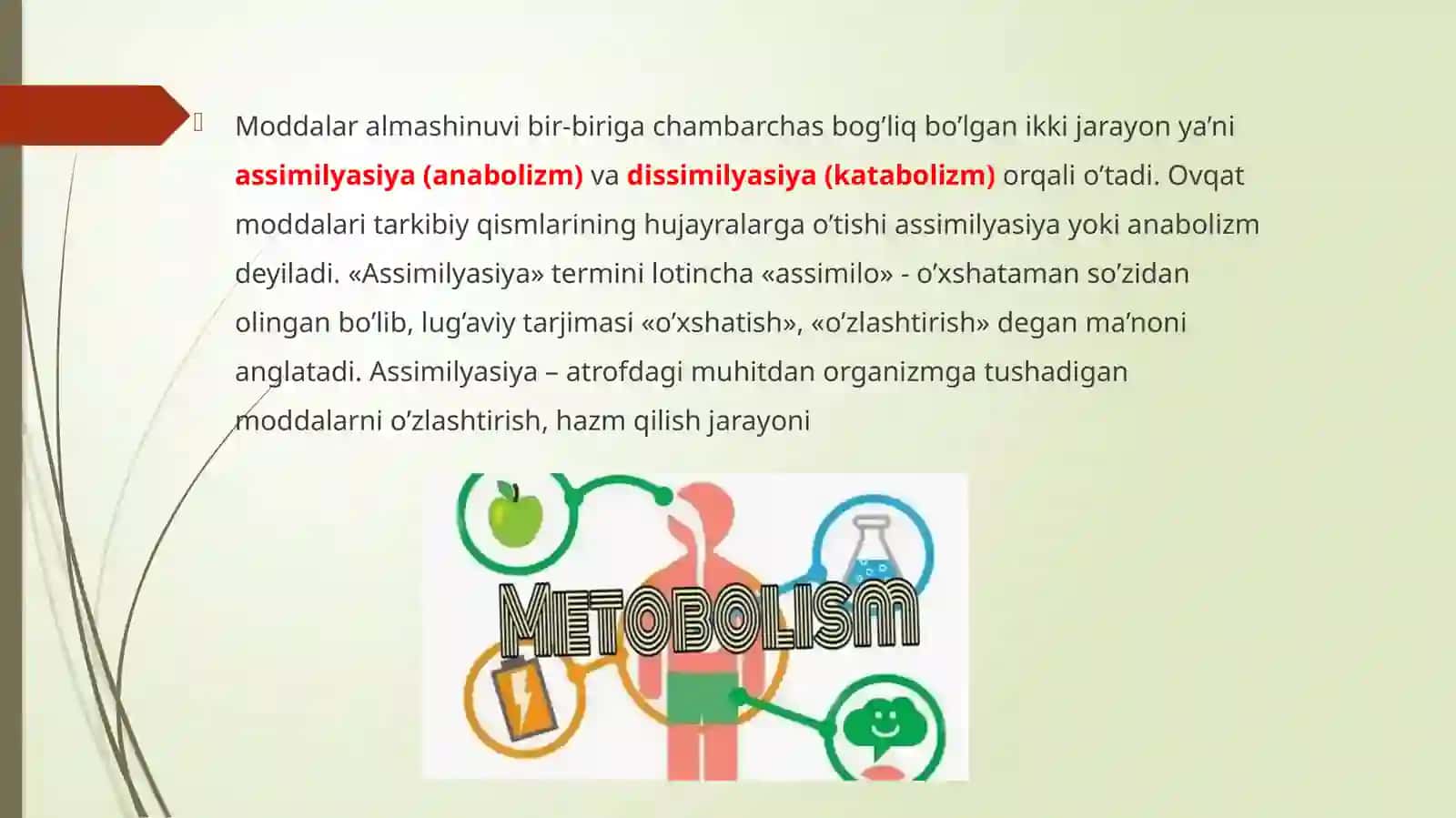 Moddava energiya almashtirish fiziologiyasini tarqatma materiallari orqali o’rganish 2