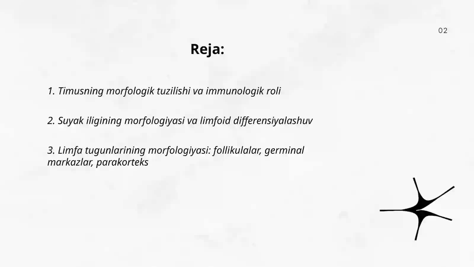 Immun jarayonning morfologik asoslari 2