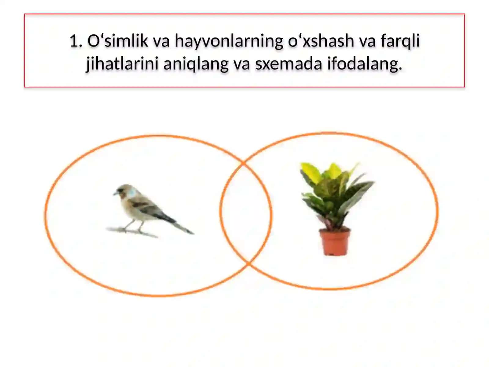 O‘simlikvahayvonlarning o‘xshash va farqli jihatlarini aniqlash topshiriqlari 2