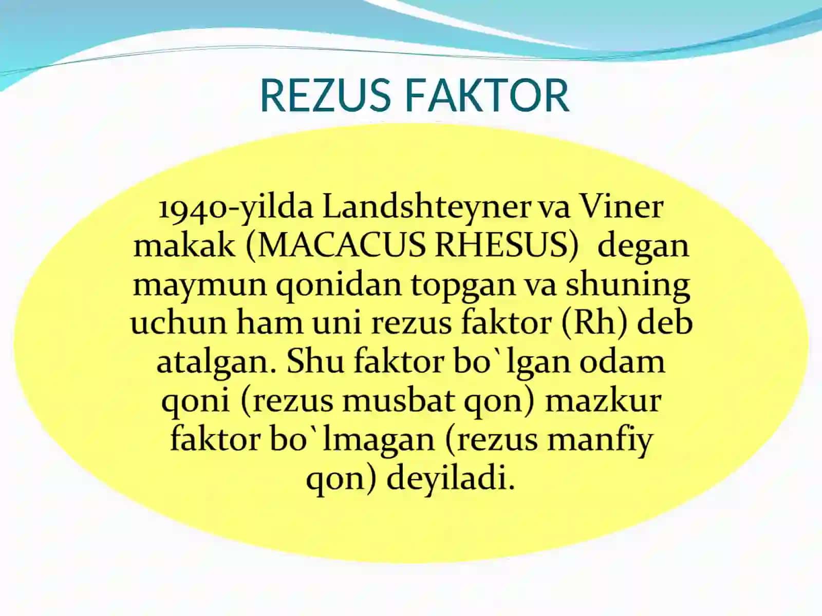 REZUS FAKTOR 2