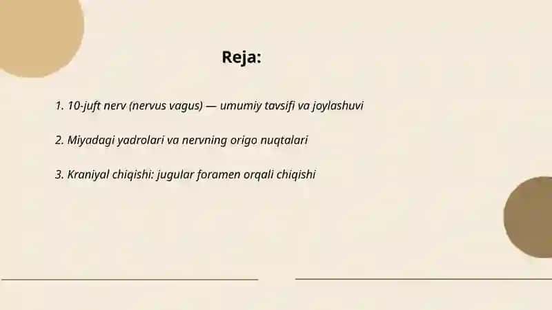 10-juft nerv anatomiyasi 2