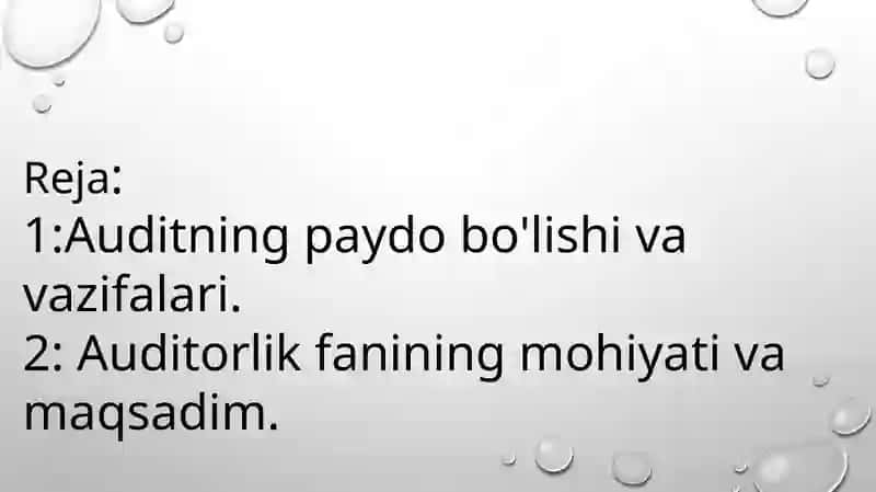AUDITNING MOHIYATI,UNING MAQSADI VA VAZIFALARI 2