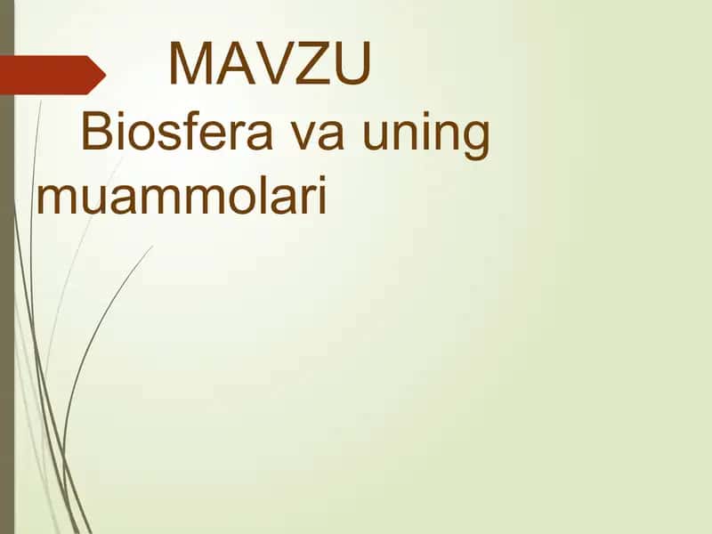 Biosfera va uning muammolari 2