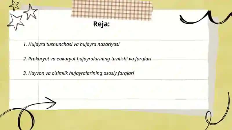 Hujayra haqidagi tushuncha,Hujayra biologiyasi va kimyoviy tarkibi. 2