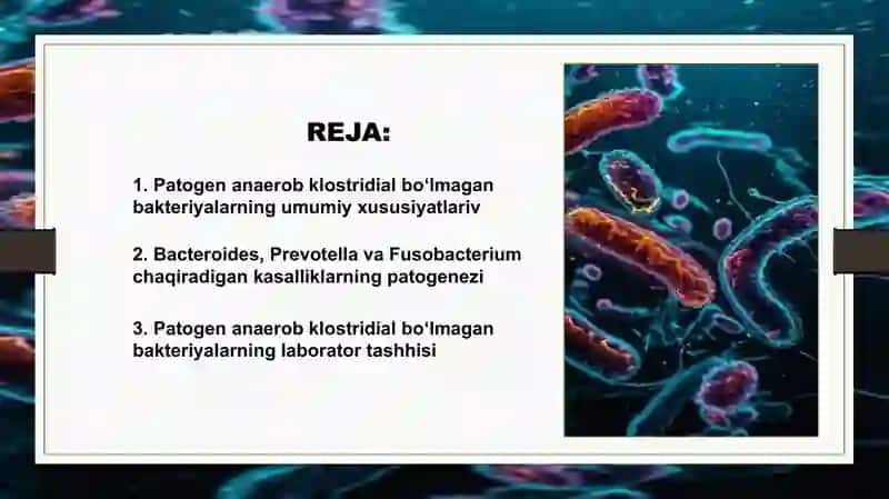 Patogen anaerob klostridial bo’lmagan infeksiya qo’zg’atuvchilari 2