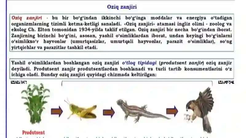 Oziq zanjiri va ekologik piramida boʻyicha masala mashq 2