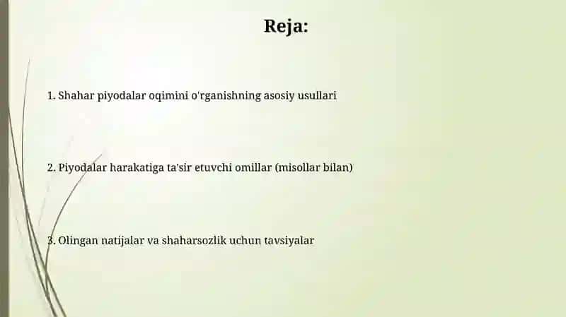 Shahar piyoda oqimining Natur tadqiqoti 2