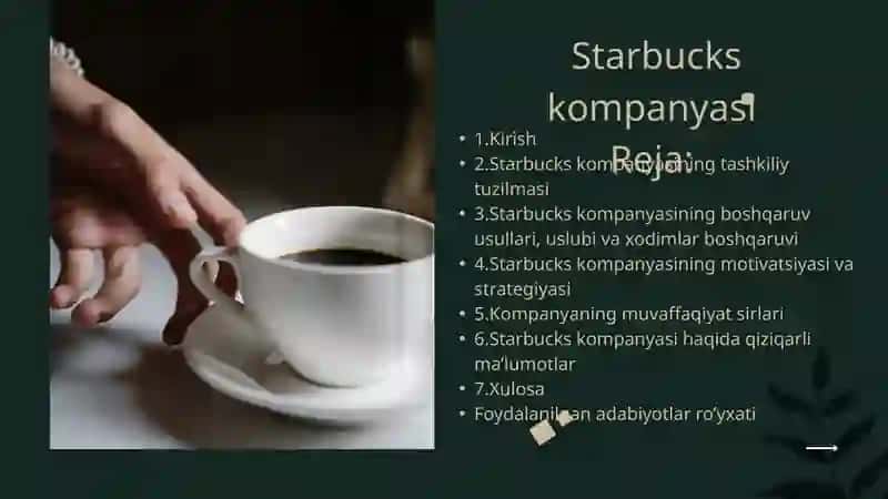 Mustaqil ishi 2