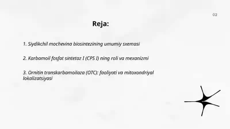 Siydikchil mochevina biosintezi 2