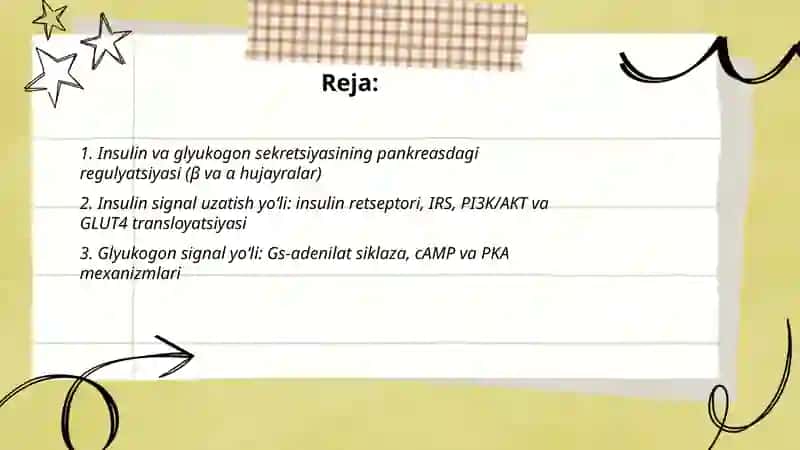 Odam organizmida kechadigan metabolik jarayonlarda insulin va glyukogonning roli 2