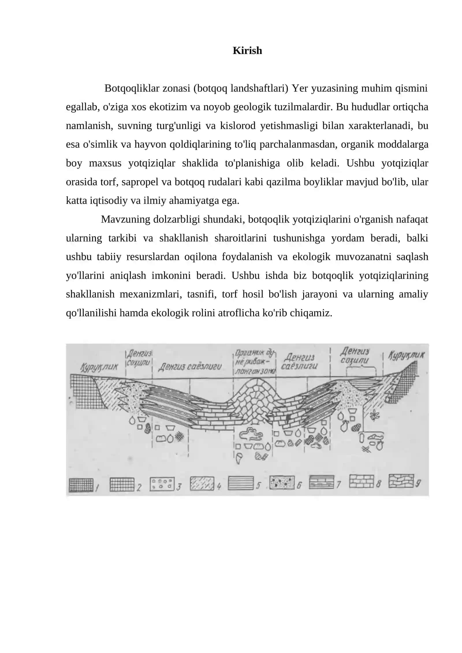 Botqoqliklar zonasidagi yotqiziqlar 2