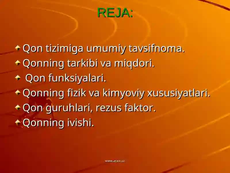 QON TOMIR FIZIOLOGIYASI 2