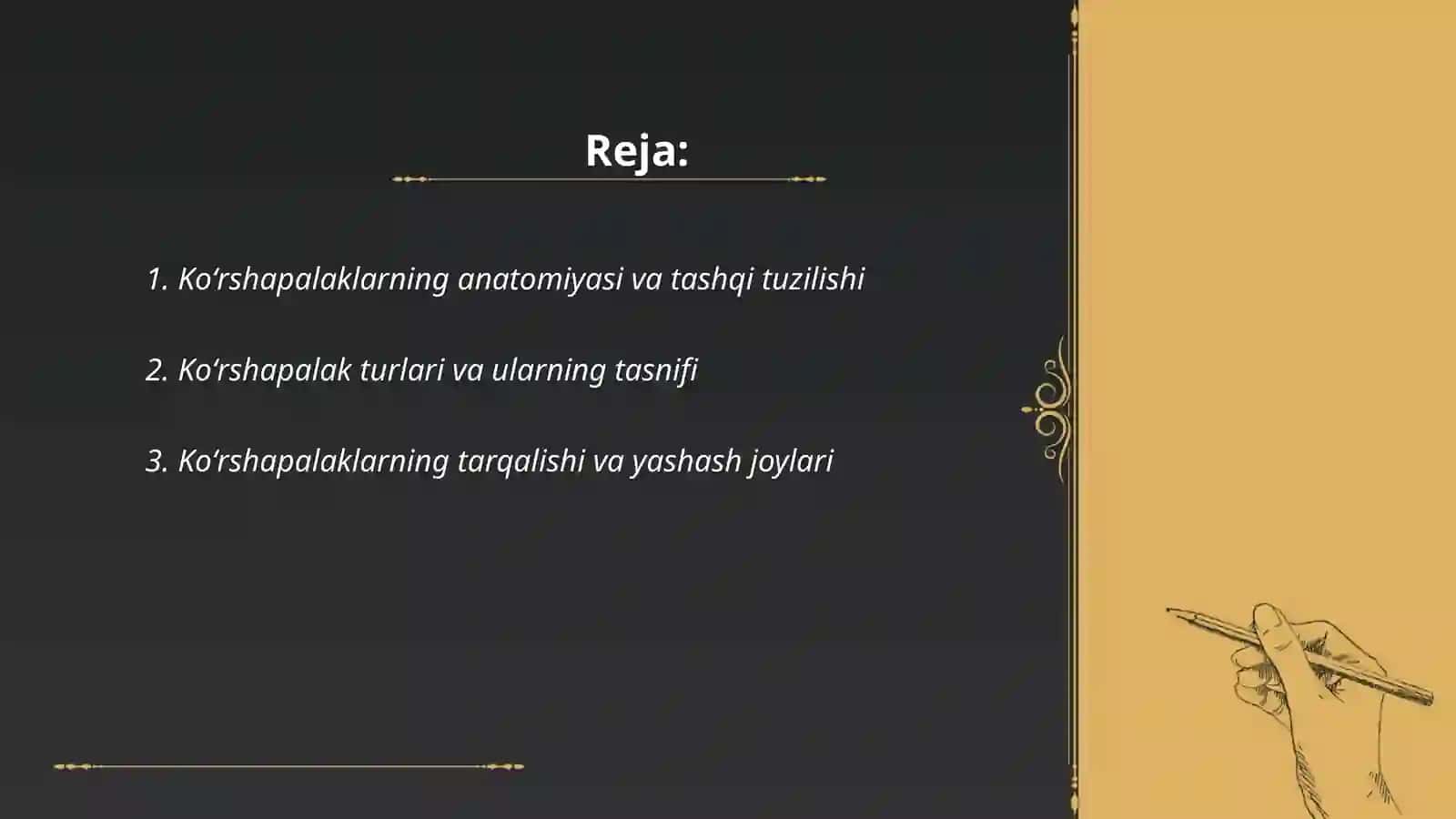 Koʻrshapalak anatomiyasi va tuzilishi 2