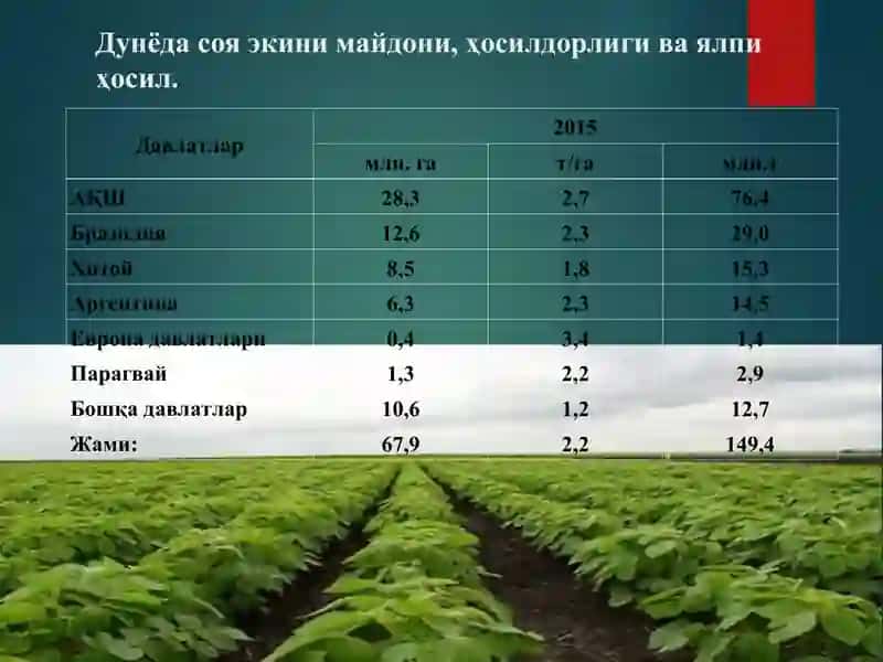 Соя биологияси ва етиштириш технологияси 2