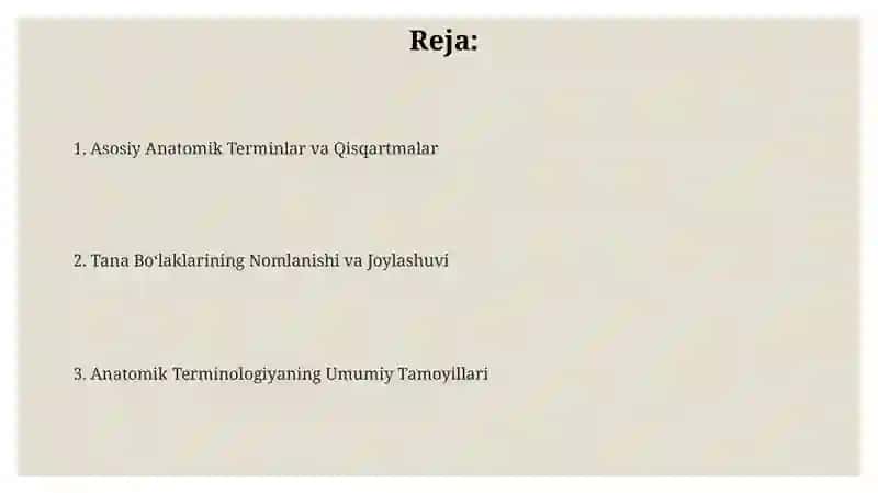 Anatomik terminologiya bóyicha umumlashtiruvchi dars 2